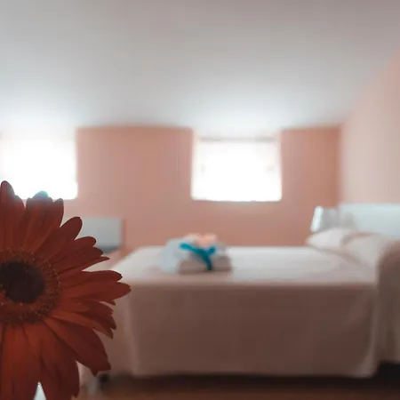 Bed and Breakfast Teresa Costa Degli Dei Pannaconi
