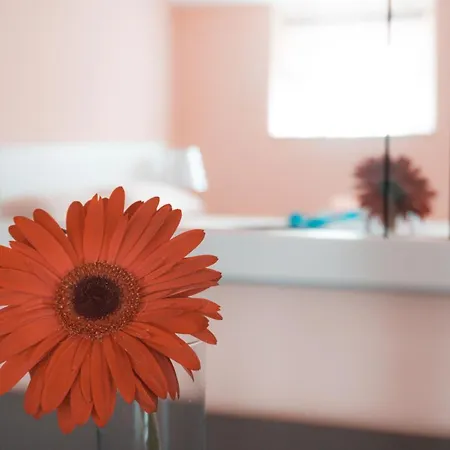 Bed and Breakfast Teresa Costa Degli Dei 3*
