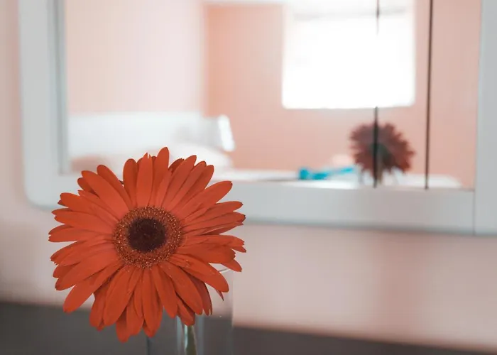 Bed & Breakfast Teresa Vibo Valentia Tropea 3*