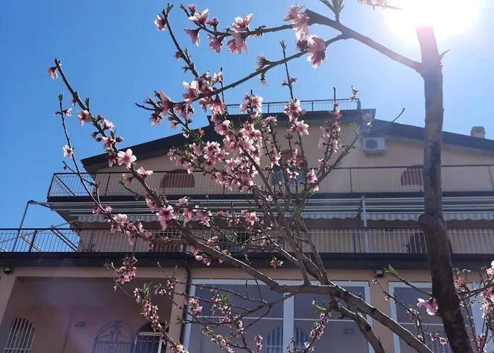 Teresa Vibo Valentia Tropea Bed & Breakfast Pannaconi